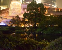 六本木ヒルズ　毛利庭園の夜景の画像