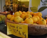 南フランス旅行ふり返り|あしたから頑張ります! 南フランス旅行ふり返り|あしたから頑張ります!