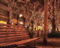 2018年もありがとうございました！